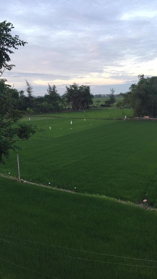 Bi'S House Homestay Hoi An Exterior photo
